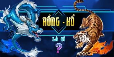 Hướng dẫn cách chơi rồng hồ trăm trận trăm thắng cho cược thủ