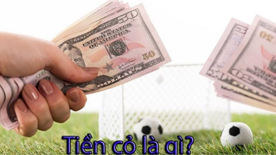Cách tính tiền cỏ và những yếu tố ảnh hưởng đến tỷ lệ người chơi được hưởng