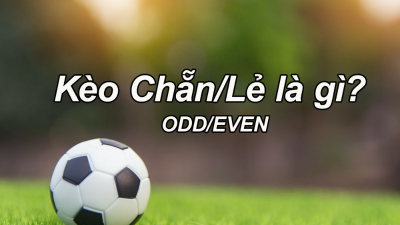 Cách bắt kèo chẳn lẻ mà tân thủ nên học hỏi để áp dụng