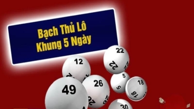 Nuôi bạch thủ lô khung 5 ngày miễn phí soi cầu cực hay, độ chính xác cao