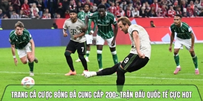 Trang cá cược bóng đá hơn 200+ trận tại trangcadobongda.lat